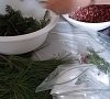 Ванна хвойная, отдых все включено №7