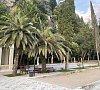 Отель Garden Resort Gagra Гагра фото Отель Garden Resort Gagra Гагра фото