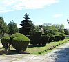 Чайка Заозерное