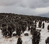 Динамо Республика Алтай цены