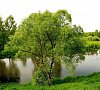 Санаторий Литвиново Киевское шоссе