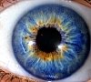 Иридодиагностика, отдых все включено №4