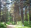 Череха Псковская область