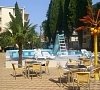 Кипарис Адлер цены